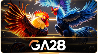 Gà đá